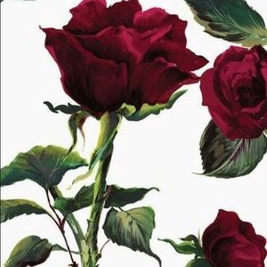 Meet your Posher, Juliana